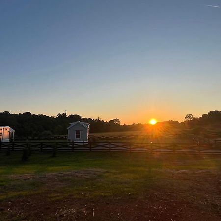 Luxury Riverfront Tiny House- Amazing Views- #111 Strawberry Plains Exterior photo