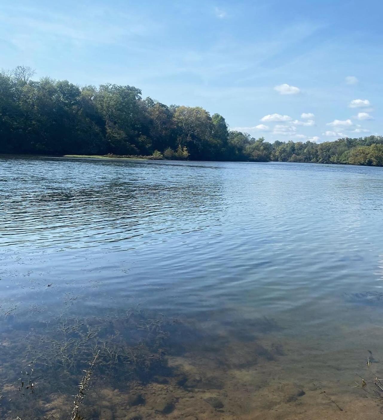 Luxury Riverfront Tiny House- Amazing Views- #111 Strawberry Plains Exterior photo